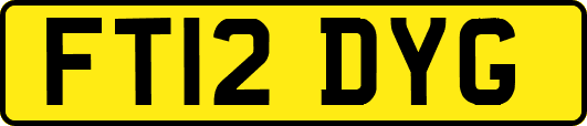 FT12DYG