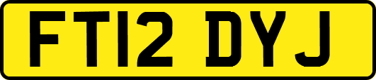 FT12DYJ