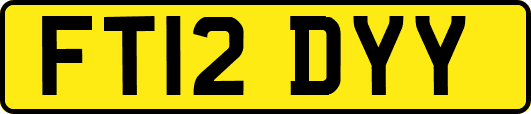 FT12DYY