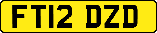 FT12DZD