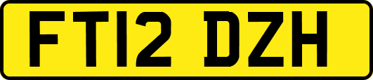 FT12DZH