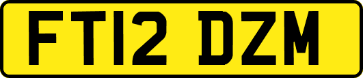 FT12DZM