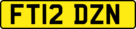 FT12DZN