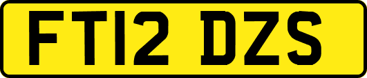 FT12DZS