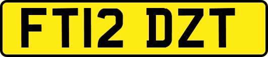 FT12DZT
