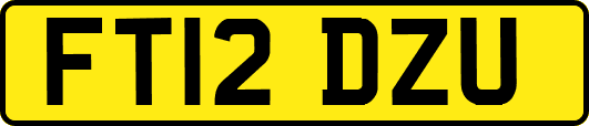 FT12DZU