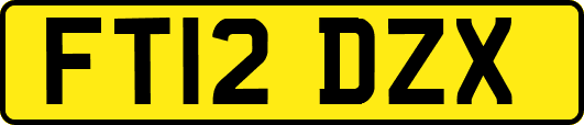 FT12DZX