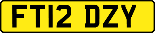 FT12DZY