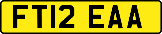 FT12EAA