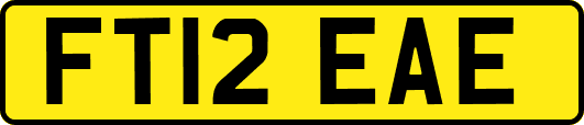 FT12EAE