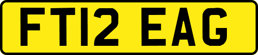 FT12EAG