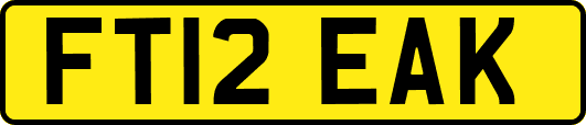 FT12EAK