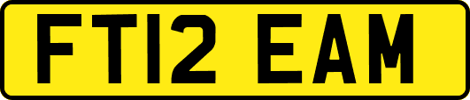 FT12EAM