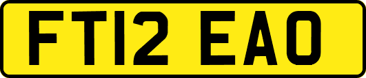 FT12EAO