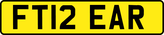 FT12EAR