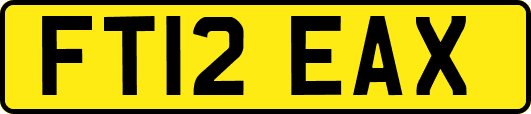 FT12EAX