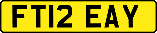 FT12EAY