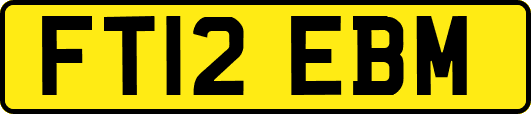 FT12EBM