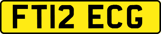 FT12ECG