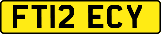 FT12ECY