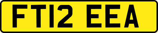 FT12EEA