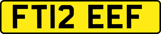 FT12EEF