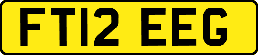 FT12EEG