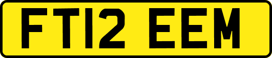 FT12EEM