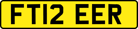 FT12EER