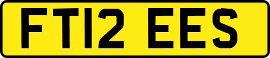FT12EES
