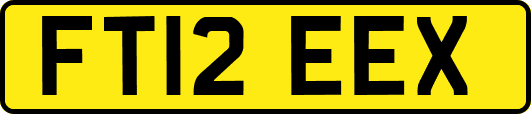 FT12EEX