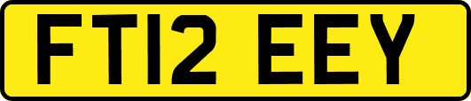 FT12EEY