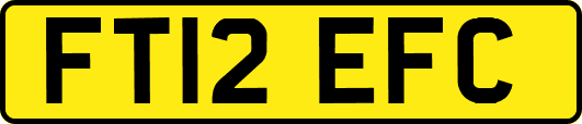 FT12EFC