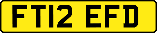 FT12EFD