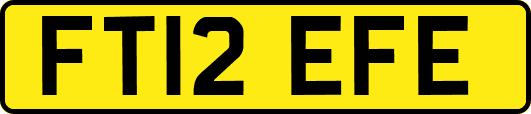 FT12EFE