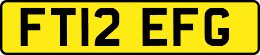 FT12EFG