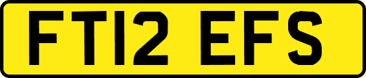 FT12EFS