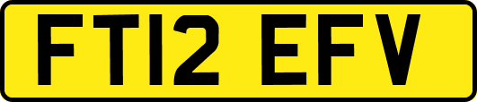 FT12EFV