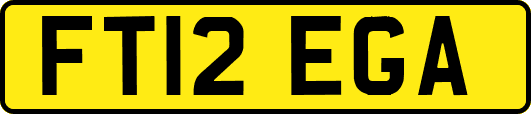FT12EGA