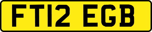 FT12EGB