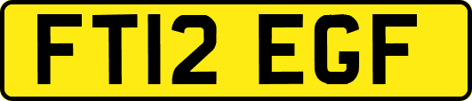 FT12EGF