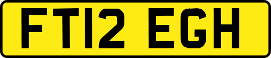 FT12EGH
