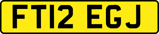 FT12EGJ