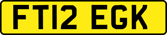 FT12EGK