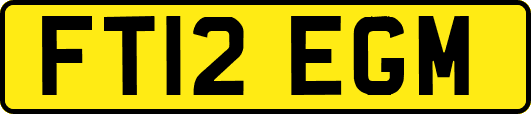 FT12EGM