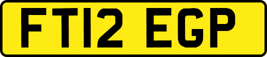 FT12EGP