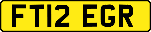 FT12EGR