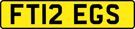 FT12EGS