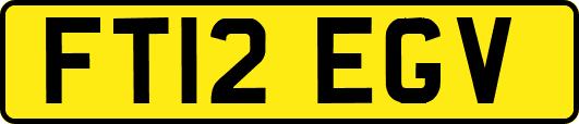 FT12EGV