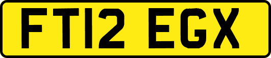 FT12EGX